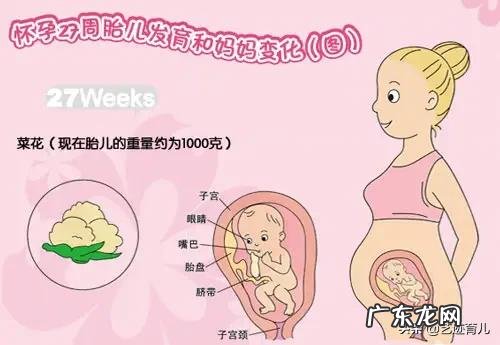 怀孕七个月孩子三斤多重,正常吗?