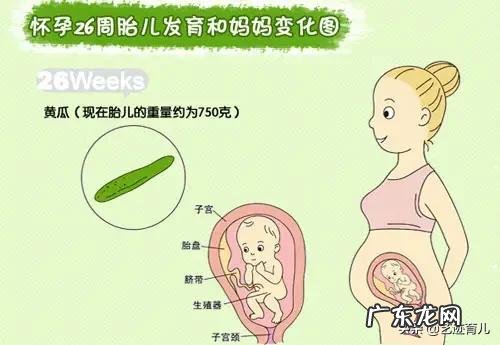 怀孕七个月孩子三斤多重,正常吗?