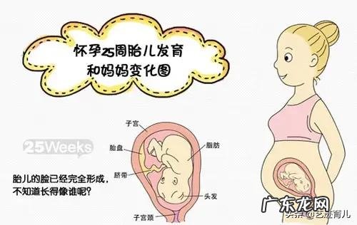 怀孕七个月孩子三斤多重,正常吗?