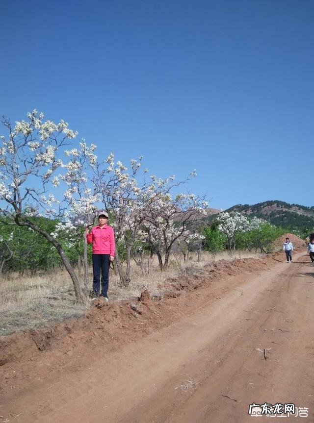春天旅游一般都去什么地方？
