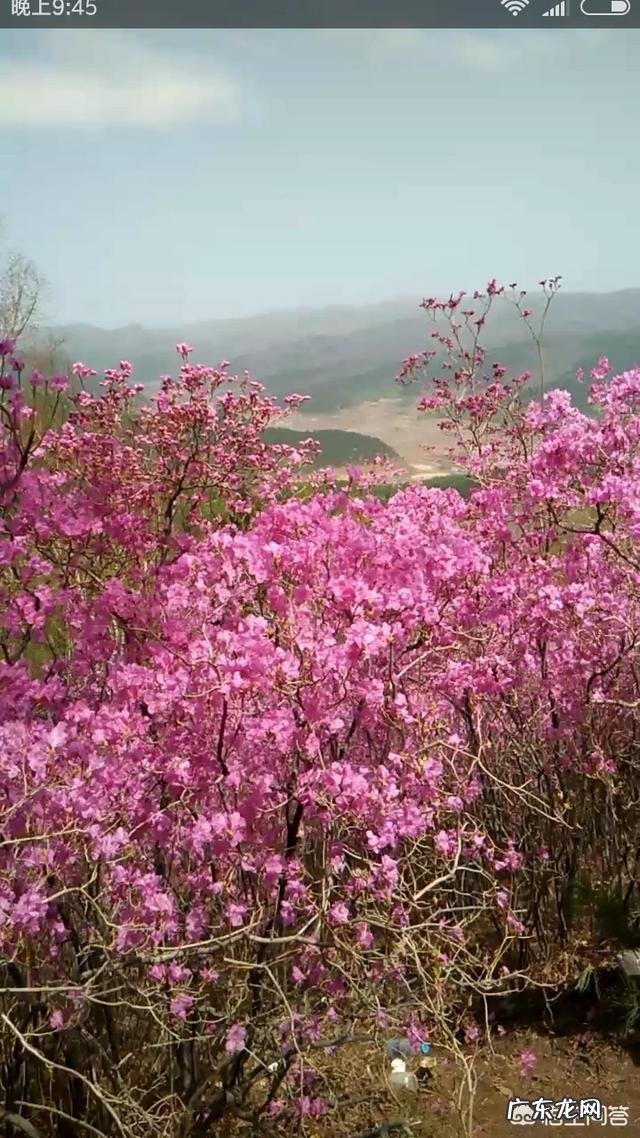 春天旅游一般都去什么地方？