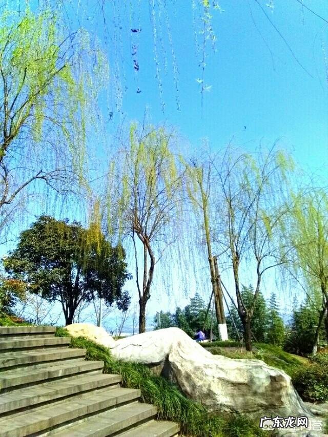 春天旅游一般都去什么地方？