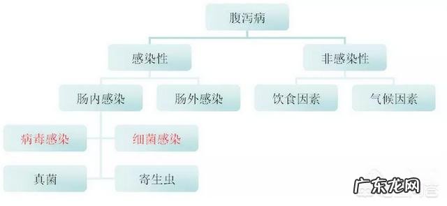 宝宝总是拉肚子,该怎么办?