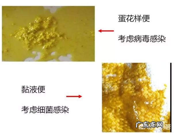 宝宝总是拉肚子,该怎么办?