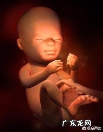 孕5个月的胎儿会是什么样子的?