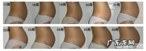 孕5个月的胎儿会是什么样子的?