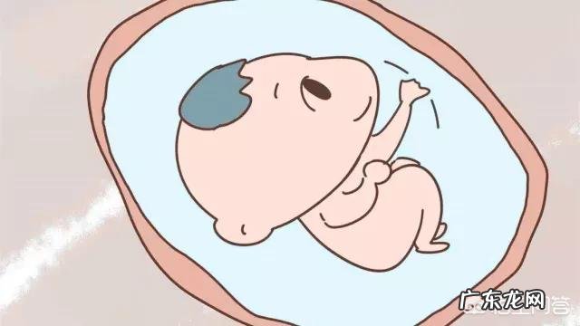 孕5个月的胎儿会是什么样子的?