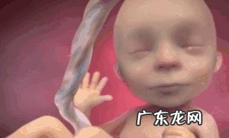 孕5个月的胎儿会是什么样子的?