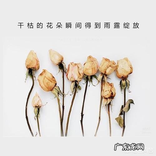 女人如何保养才能抗老,如何内调?