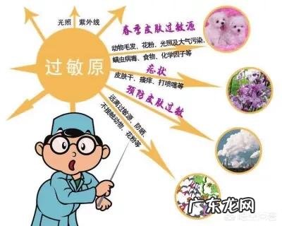 水解蛋白奶粉防过敏的原理是什么?
