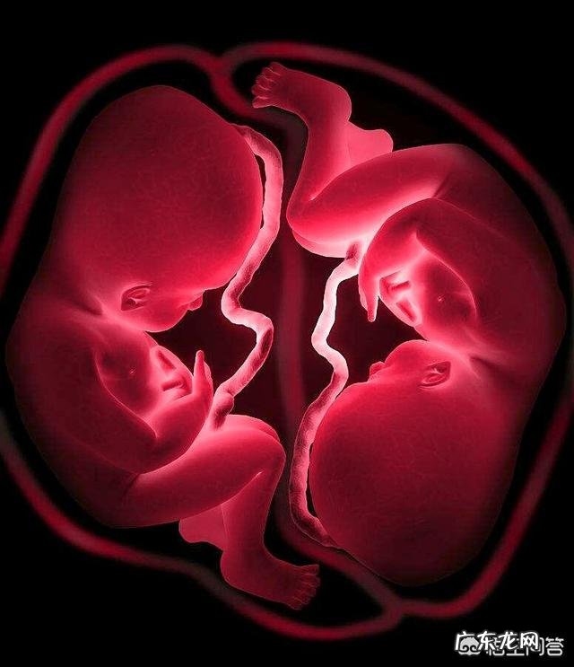 怀双胞胎的人要注意什么?