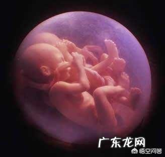 怀双胞胎的人要注意什么?