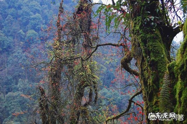 世界上有哪些死亡谷?都在哪里?