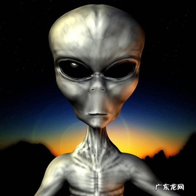 国内研究生导师喜欢什么样的学生?