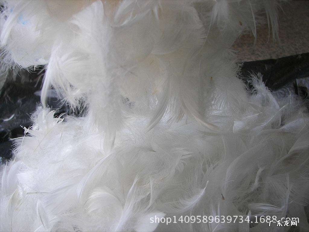鸭毛怎么处理没有气味