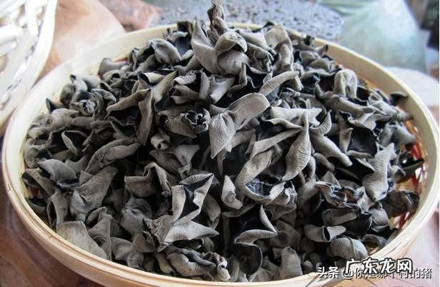 香樟树上长的木耳能吃吗?注意什么?