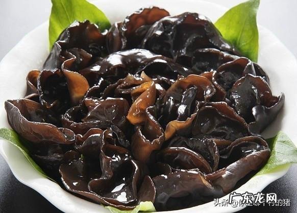 香樟树上长的木耳能吃吗?注意什么?