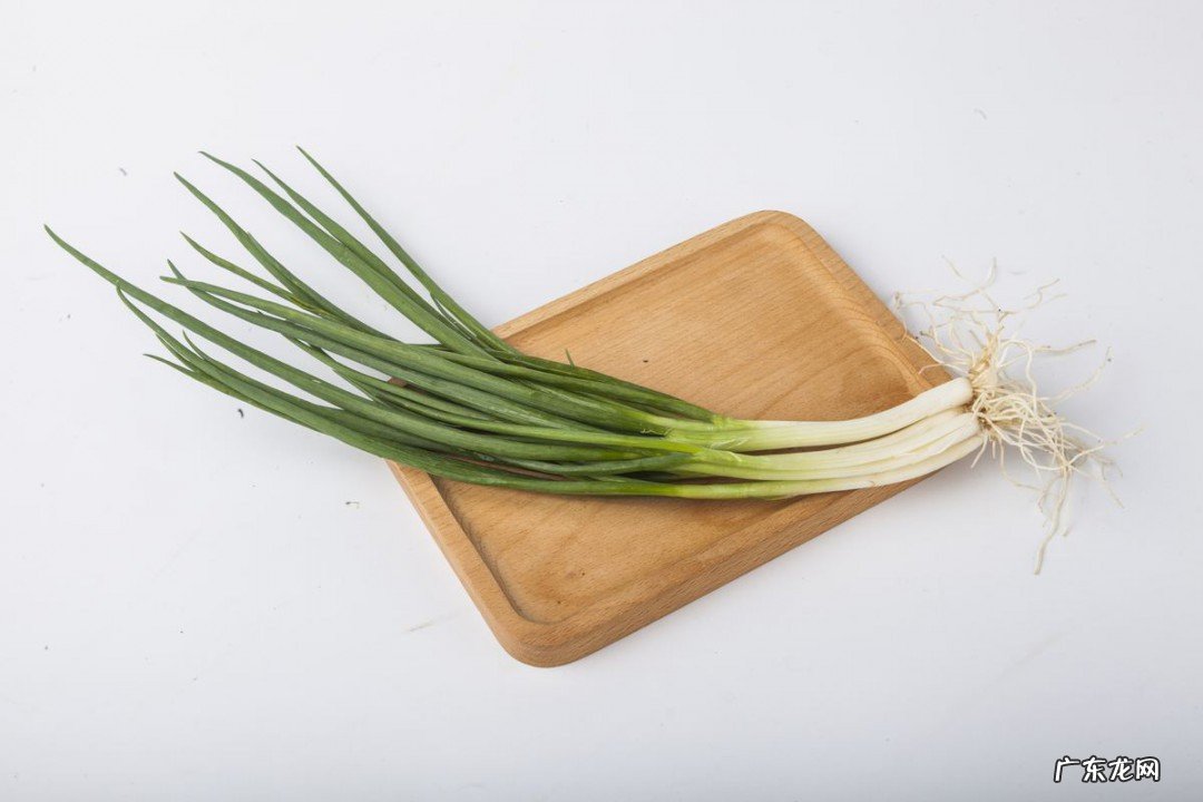 小葱怎么样保存