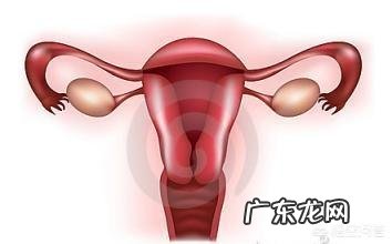 什么是子宫内膜？