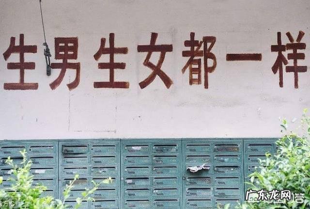 你觉得生儿和生女的利弊各有哪些?