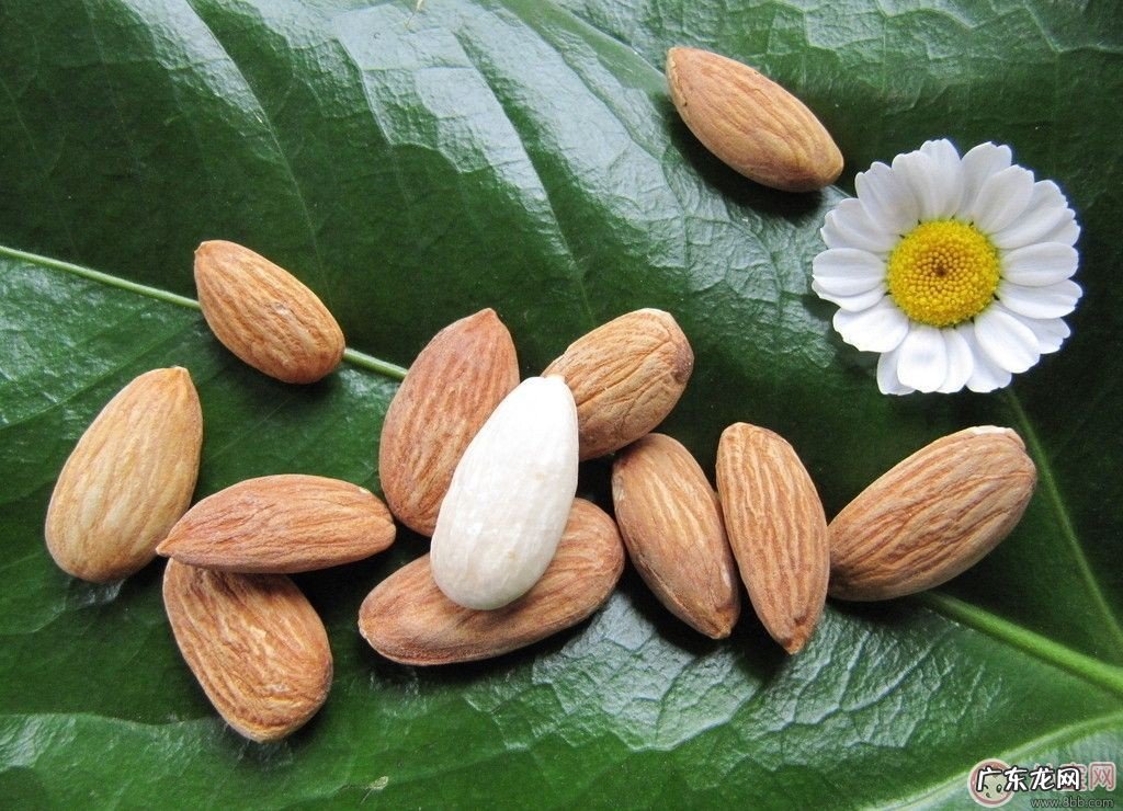 怀孕吃杏仁好吗