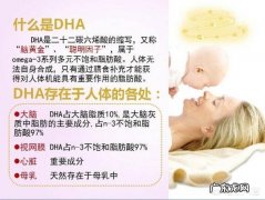孕妇几个月开始吃DHA，都吃什么牌子的比较好？