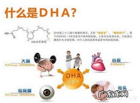 孕妇几个月开始吃DHA，都吃什么牌子的比较好？