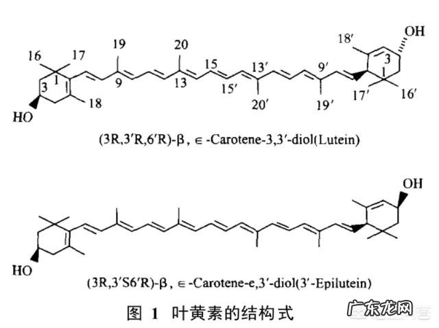 叶黄素酯的功效和作用是什么呢?
