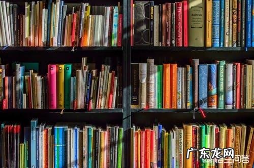 你认为读书应该贵多还是贵精?为什么?