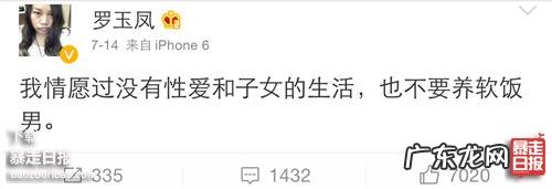 凤姐为什么能够成功洗白?