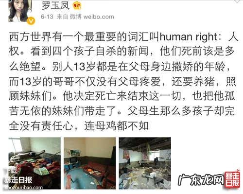 凤姐为什么能够成功洗白?