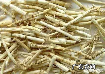 小孩出鼻血可能是得什么病?