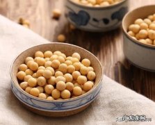 煮黄豆吃有营养吗？营养价值如何？