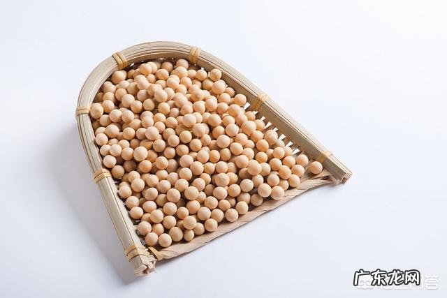 煮黄豆吃有营养吗?营养价值如何?