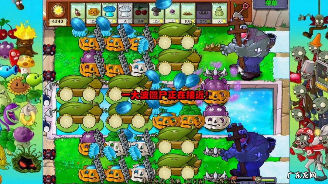 植物大战僵尸的哪个版本比较好玩