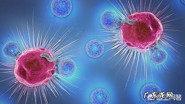 艾滋病疫苗或将问世,如果真的能有艾滋病疫苗能预防艾滋病,对人们生活有多大影响?