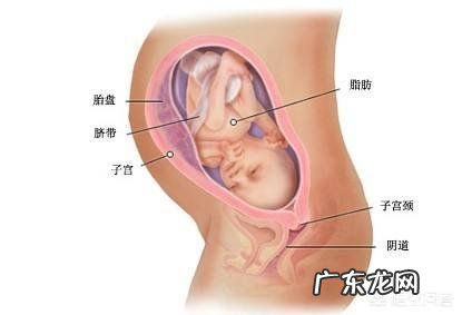孕期玩手机、电脑对胎儿有影响吗？