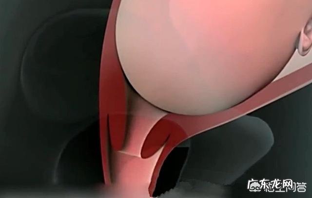 孕妇顺产一共有多少个产程?每个产程是怎样的?