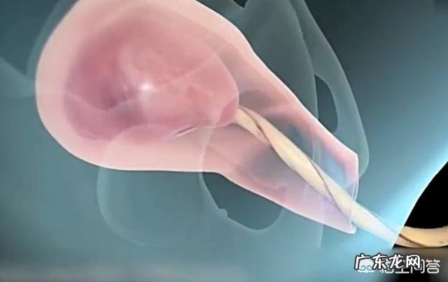 孕妇顺产一共有多少个产程?每个产程是怎样的?