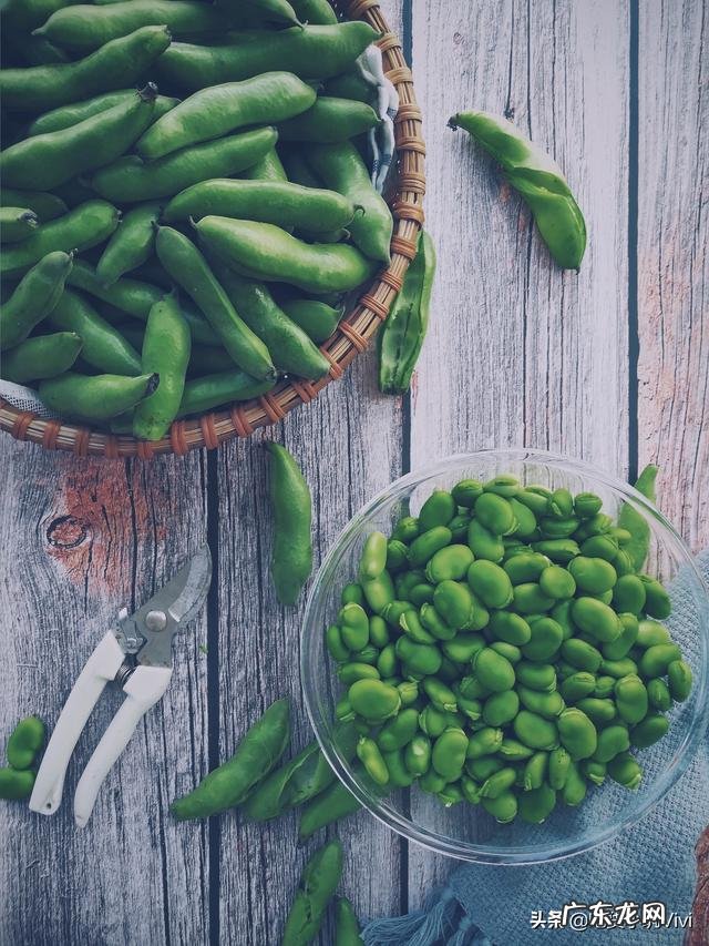 新鲜蚕豆烧什么好吃?