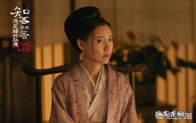 李念因《都挺好》朱丽一角成功复出,为何出演吴菲的高露反而没有《知否》中出彩了?