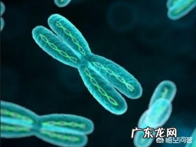 在国内做第三代试管婴儿费用要多少?