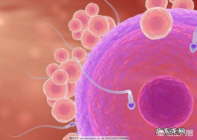 孕妇孕酮低是什么原因?