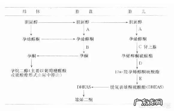 孕妇孕酮低是什么原因?