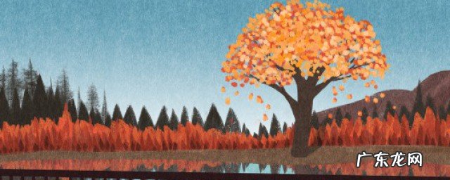 秋天养肺养生调理