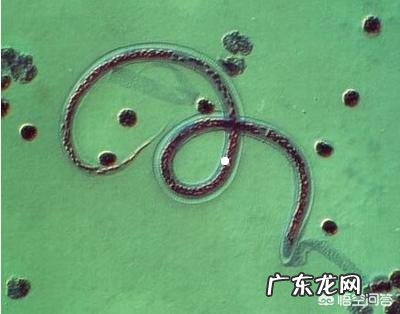 睡觉的时候会突然一抖是什么原因？