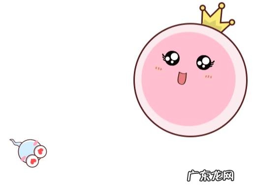 备孕调养身体食谱大全?