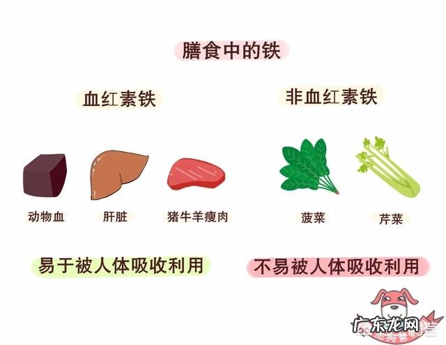 贫血吃什么,怎么补铁?
