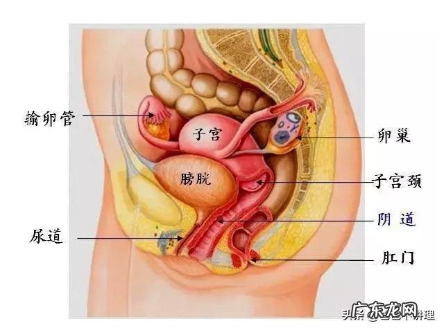 怀孕到了第4个月的时候是什么感觉呢？