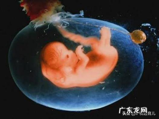 怀孕到了第4个月的时候是什么感觉呢?